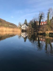 a view of a river with a house in the background at Studio im Naturschutzgebiet in Spreitenbach