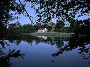 a house on an island in the middle of a lake at Studio im Naturschutzgebiet in Spreitenbach