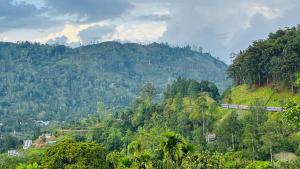 a train traveling through a lush green hillside at Why Not Guest House, Ella in Ella