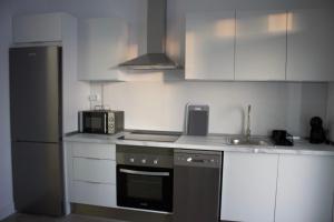 a kitchen with a stove and a sink and a refrigerator at Apartamentos Lumael in Mérida +33 photos