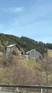 two buildings on top of a hill with trees at Bergidylle Simonhöhe, Kärnten in Zirkitz