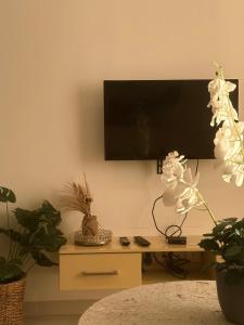 a living room with a tv and a table with plants at Beach Front Escape in Wattala