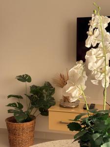 two potted plants sitting on a table in a room at Beach Front Escape in Wattala +52 photos
