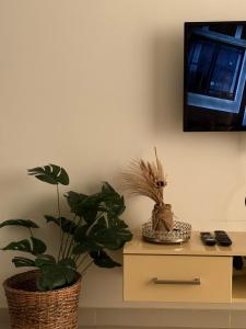 a room with a table with a plant on it at Beach Front Escape in Wattala
