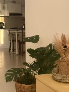 a plant sitting on a table in a kitchen at Beach Front Escape in Wattala