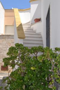 a stairway with a tree in front of a building at Salento holiday house in Torchiarolo