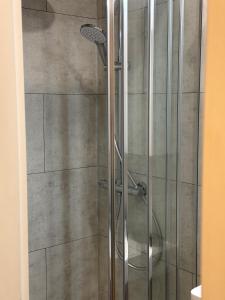 a shower in a bathroom with a glass door at Grazerhof in Graz