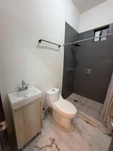 a bathroom with a toilet and a sink and a shower at suites ejecutivas centro guadalupe in Monterrey +17 photos