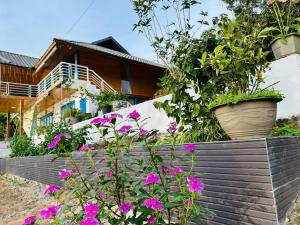 a garden with pink flowers in front of a house at Maisonson Resort in Dương Kê +8 photos