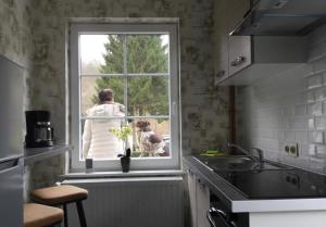 a woman looking out of a window in a kitchen at vakantiewoning Charme Bohan Sur Semois in Vresse-sur-Semois +8 photos