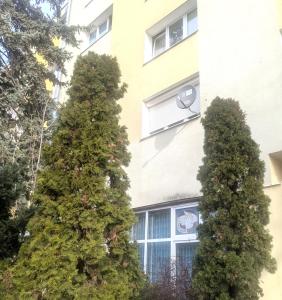 two tall trees in front of a building at Smart Centrum in Konin