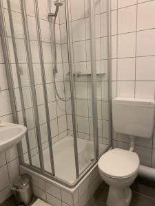a bathroom with a shower with a toilet and a sink at Cityperle Apartment in Erfurt +10 photos