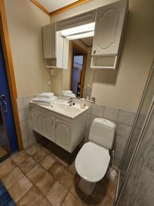 a bathroom with a white toilet and a sink at Alta Folkehøgskole in Alta +14 photos