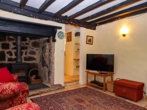 a living room with a fireplace and a tv at Fox Hat Cottage in Newton Abbot
