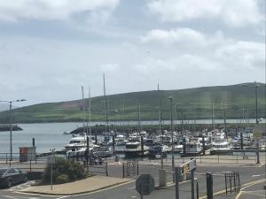 a bunch of boats parked in a harbor at Waterfront Apartment in Dingle
