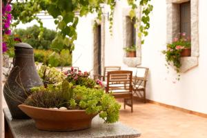 a porch with a pot of plants and chairs at Villamarina in Aglientu