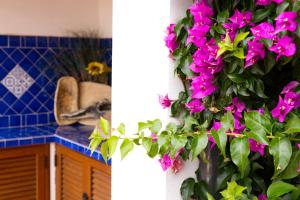 two pictures of a kitchen with purple flowers on a wall at Villamarina in Aglientu