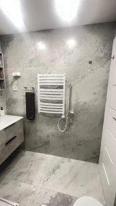 a bathroom with a sink and a toilet in a room at Čiurlioniada Apartment in Druskininkai