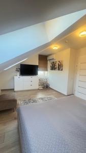 a living room with a bed and a tv at Čiurlioniada Apartment in Druskininkai