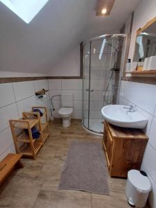 a bathroom with a sink and a shower and a toilet at Panoramahof Gupf in Gröbming +133 photos