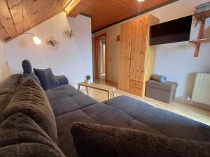 a living room with a couch and a television at Panoramahof Gupf in Gröbming