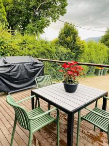 a table with two chairs and a potted plant on a deck at No 43 Guesthouse in Mount Beauty