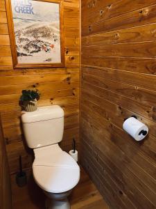 a bathroom with a toilet and two rolls of toilet paper at No 43 Guesthouse in Mount Beauty +3 photos