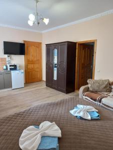a living room with a bed and a couch at Hercules in Truskavets