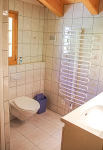 a bathroom with a toilet and a sink at Chalet Charis in Bellwald +9 photos