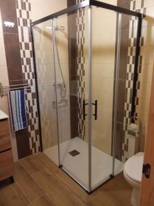 a shower with a glass door in a bathroom at Casa Abuela Antolina in La Horcajada +28 photos