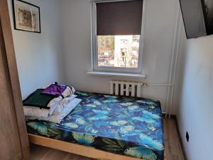 a small bed in a room with a window at SAS Militaria dla 2 par 2 pokoje 4 osobysamodzielne zameldowanie, kody w wiadomości przed przyjazdem in Borne Sulinowo