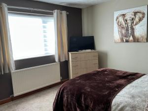 a bedroom with a bed and a television and a window at Cozy Room at Willow House in Leyland