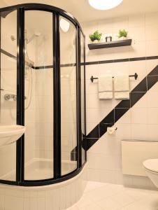 a bathroom with a shower and a toilet at Loft in Weiler in Weiler