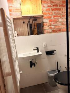 a bathroom with a sink and a toilet at Na Pograniczu domek w górach in Lasowka