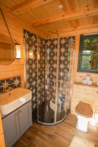 a bathroom with a shower with a toilet and a sink at West Lexham Wellness & Retreat Centre in King's Lynn +172 photos