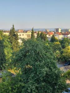 a large green tree in front of a city at Aurora's Apartment Shkoder in Shkodër