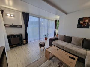 a living room with a couch and a table at Alexia Agropension in Pui