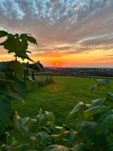 a sunset in a field with a green field at Goldener Blick in Stollberg