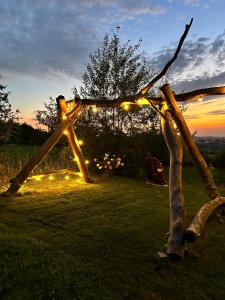 a star made out of a tree with lights at Goldener Blick in Stollberg