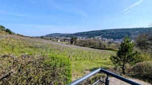 a view of a vineyard from the top of a hill at Savigny Vineyard View & SPA in Savigny-lès-Beaune