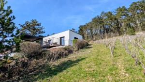 a white house on a hill with trees at Savigny Vineyard View & SPA in Savigny-lès-Beaune