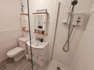 a bathroom with a shower and a toilet and a sink at Harbour View Saundersfoot in Saundersfoot