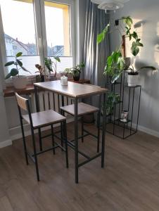 a table and chairs with plants in a room at Jolanta's apartment in Hajnówka +6 photos