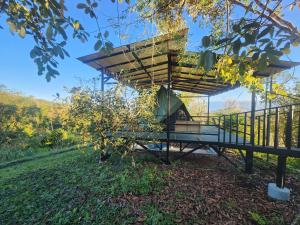 a tree house with a playground in a park at Ararat Eco Farm in Coto Brus