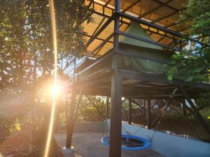 a tree house with a swing in the middle at Ararat Eco Farm in Coto Brus