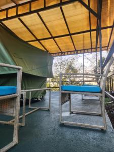 a couple of chairs sitting in a tent at Ararat Eco Farm in Coto Brus