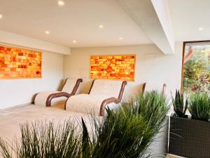 a waiting room with two chairs and plants at ArdoVel Park Hotel in Velingrad