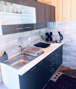 a kitchen with a sink and a counter top at Chata na Grapie in Biały Dunajec
