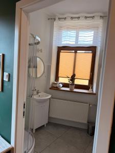 a bathroom with a shower and a sink and a window at Pod Aniołami in Wałbrzych