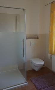 a bathroom with a toilet and a glass shower door at Ferienreihenhäuser Roswitha in Frauenberg +30 photos